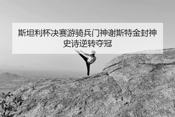 斯坦利杯决赛游骑兵门神谢斯特金封神 史诗逆转夺冠